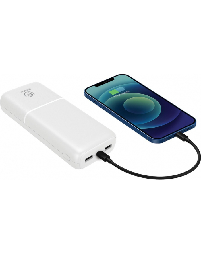 rebeltec Powerbank P20 20 000mAh 10W główny