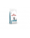 Royal Canin Hypoallergernic Cat Dry 45kg - nr 2