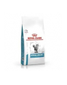 Royal Canin Hypoallergernic Cat Dry 45kg - nr 3
