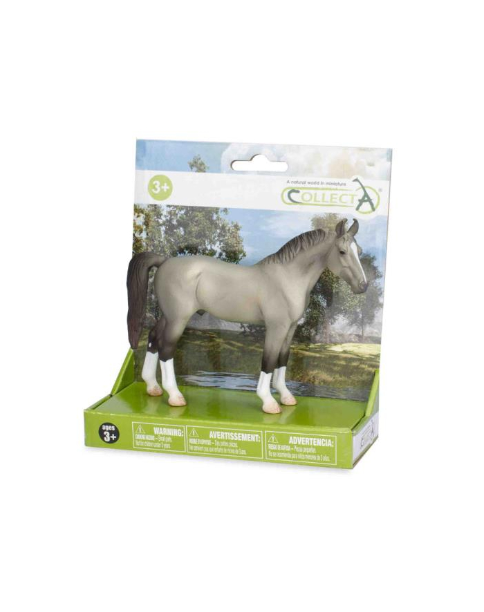 Koń ogier Marwari szary 84187 COLLECTA główny