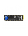 Dysk SSD DAHUA C900A 1000GB PCIe Gen3 - nr 1