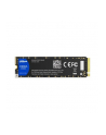 Dysk SSD DAHUA C900A 1000GB PCIe Gen3 - nr 2