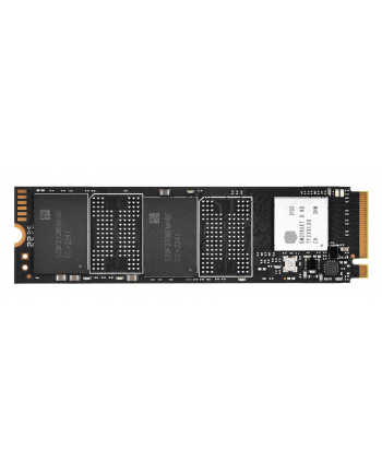 Dysk SSD DAHUA E900N 1TB PCIe Gen3