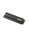 Dysk SSD DAHUA E900N 256GB PCIe Gen3 - nr 1
