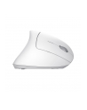 Mysz bezprzewodowa TRUST VERTO WIRELESS ERGO MOUSE WHT - nr 13