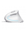 Mysz TRUST VERTO ERGO MOUSE WHT - nr 14