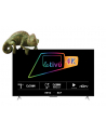 Telewizor 55''; TCL 50P638  (4K UHD HDR DVB-T2/HEVC GoogleTV) - nr 1