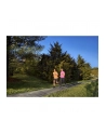 Zegarek sportowy Garmin Forerunner 55 Black - nr 8