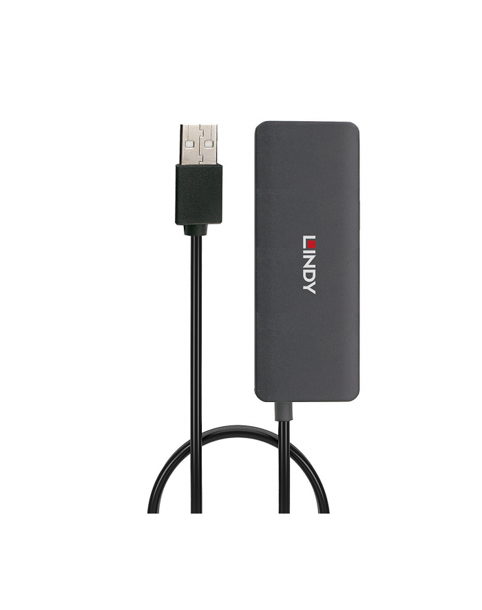Lindy 4 Port USB 2.0 Hub, USB hub główny