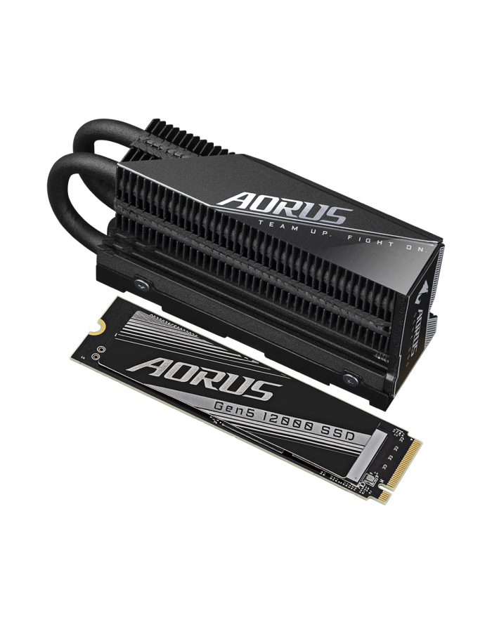 GIGABYTE AORUS Gen5 12000 SSD 2TB główny