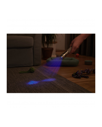 Varta UV Light, UV lamp (silver/grey)