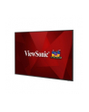 Viewsonic Cde6530 Monitor 4K 65 - nr 9