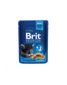 Brit Cat Pouches Kitten Chicken CHUNKS 100g - nr 2
