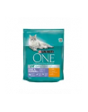 purina nestle PURINA ONE Coat 'amp; Hairball Bogata w Kurczaka i Pełne Ziarna 800g - nr 2