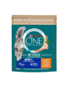 purina nestle Purina ONE SENIOR 7+ Bogata w Kurczaka i Pełne Ziarna 800g - nr 1