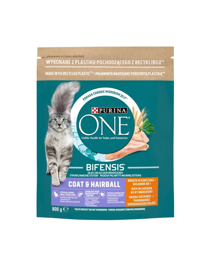 purina nestle PURINA ONE Coat 'amp; Hairball Bogata w Kurczaka i Pełne Ziarna 800g główny