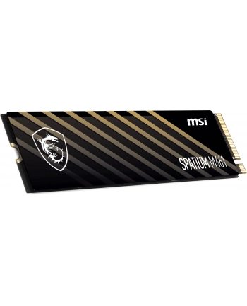 MSI Spatium M461 1TB M.2 (S78440L1D0P83)