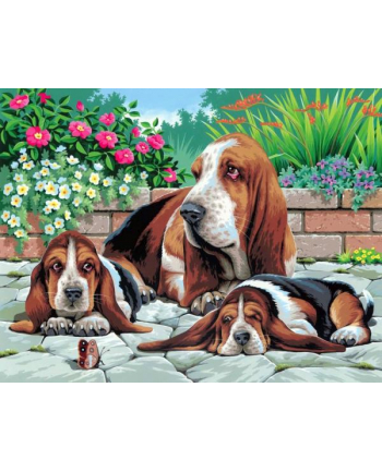 sequin art Painting by Numbers Senior Basset Hounds 0044