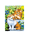 sequin art Painting by Numbers Junior Kittens 2008 - nr 1