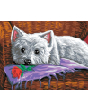 sequin art Painting by Numbers Senior Romeo 2118 - nr 1