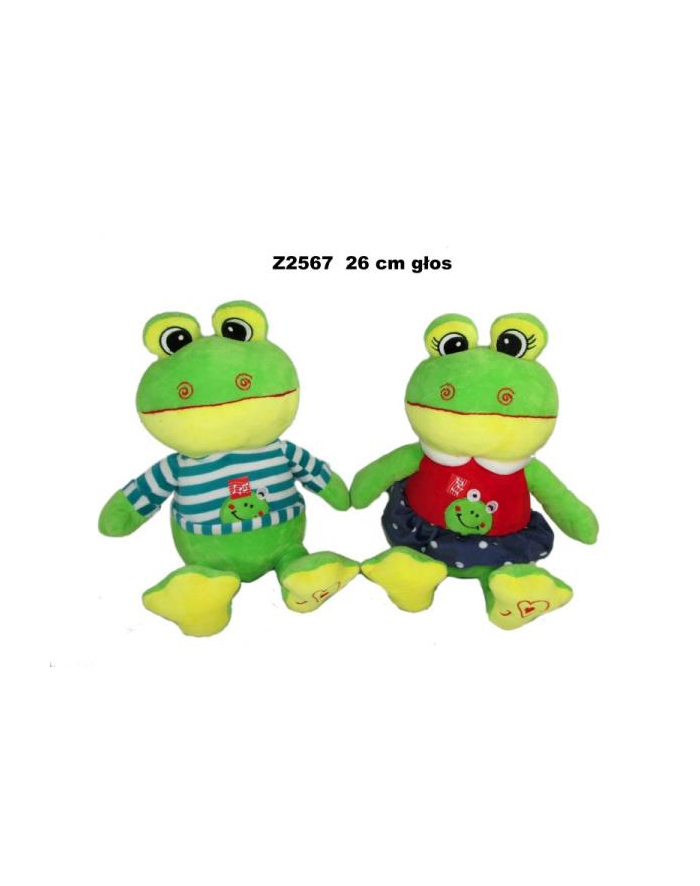 Maskotka Żaba z głosem 25cm 2 wzory 164001 SUN-DAY główny