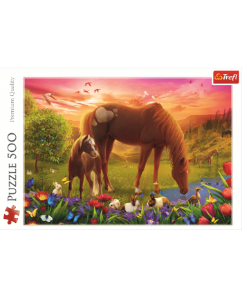 Puzzle 500el Konie na łące 37451 Trefl nr 2