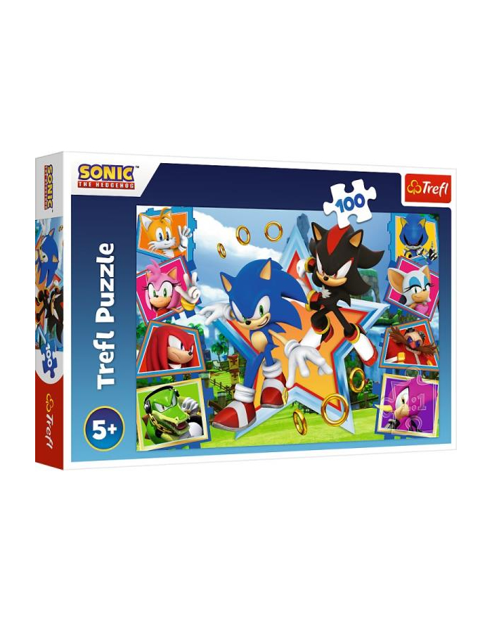 Puzzle 100el Poznaj Sonica / SEGA Sonic The Headgehog 16465 Trefl główny
