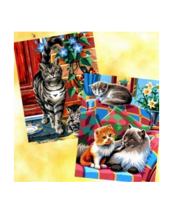 sequin art Painting by Numbers Pairs Junior Cats 0213