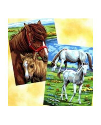 sequin art Painting by Numbers Pairs Junior Horses 0215