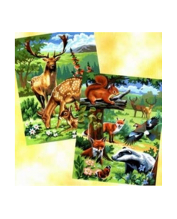 sequin art Painting by Numbers Pairs Woodland Junior Animals 0216