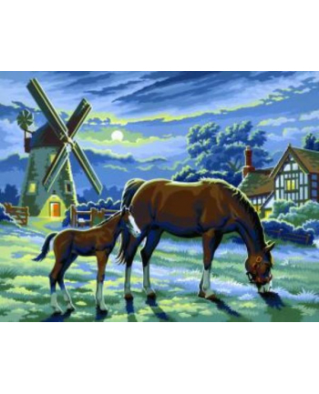 sequin art Painting by Numbers Senior Evening Pasture 0429