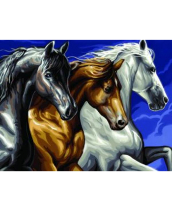 sequin art Painting by Numbers Senior Wild Horses 1040