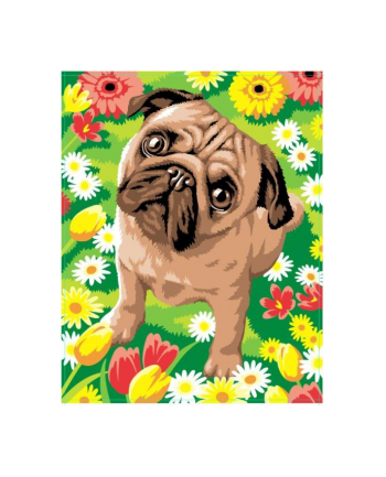 sequin art Painting by Numbers Junior Pug 1521