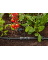 GARD-ENA Micro-Drip-System T-piece 13mm (1/2'') > 4.6mm (3/16''), connection (dark grey, 5 pieces, model 2023) - nr 10