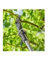 GARD-ENA Cordless Telescopic Pruning Shears HighCut 250/18V P4A solo, 18V (dark grey/turquoise, without battery and charger, POWER FOR ALL ALLIANCE) - nr 7