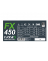 Evolveo Fx 450, Zdroj 450W Atx, 14Cm, Tichý, 80+, Bulk (Czefx450) - nr 4