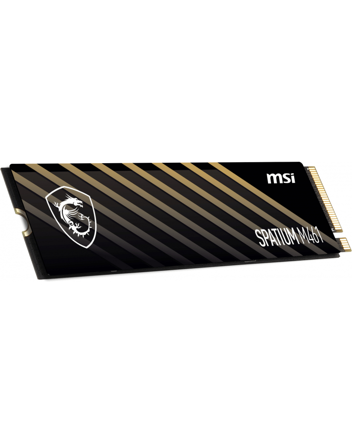 MSI Spatium M461 1TB M.2 (S78440L1D0P83) główny
