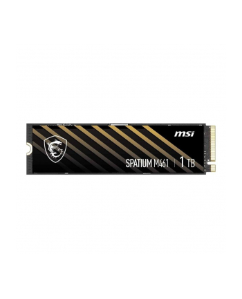 MSI Spatium M461 1TB M.2 (S78440L1D0P83) nr 2