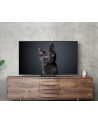 Samsung QE65S90C - nr 10