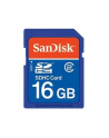 SanDisk Secure Digital  16GB - nr 1