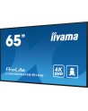 iiyama Monitor wielkoformatowy 64.5 cala LH6560UHS-B1AG matowy 24h/7 500(cd/m2) VA 3840 x 2160 UHD(4K) System Android.11 Wifi CMS(iiSignage2) - nr 31