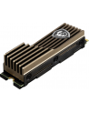 Dysk SSD MSI SPATIUM M570 1TB PCIe 5.0 NVMe M.2 2280 (9500/8500 MB/s) 3D NAND HS - nr 4