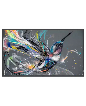 Philips Videowall 75Bdl3511Q/00 Led 75'' (Ap399787)