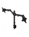 ENDORFY Atlas Double (EY8F003) - nr 42