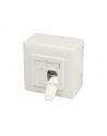 Logilink Cat.6A Wall Outlet 2 X Rj45 Shielded With Backbox Pure White (NP0124) - nr 16