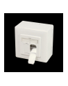 Logilink Cat.6A Wall Outlet 2 X Rj45 Shielded With Backbox Pure White (NP0124) - nr 24