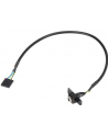 Asrock Deskmini Rear Audio Cable (90Bxg3G0A0Xcr2W) - nr 4