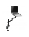 NEOMOUNTS BY NEWSTAR Laptop Desk Mount 11-17inch clamp+grommet 1 screen Black - nr 35