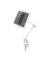 NEOMOUNTS BY NEWSTAR Tablet Desk Clamp suited from 4.7inch up to 12.9inch White - nr 39