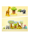 LEGO DUPLO 2+ Dzikie zwierz.Afryki 10971 - nr 4